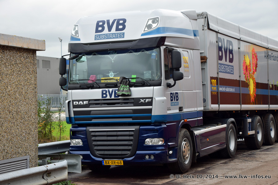 BVB-20141025-078.jpg