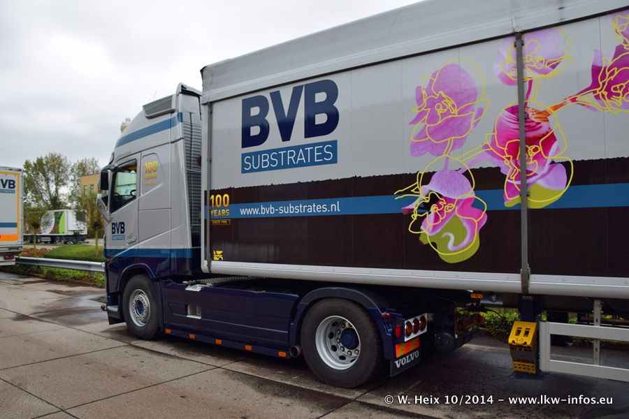 BVB-20141025-079.jpg