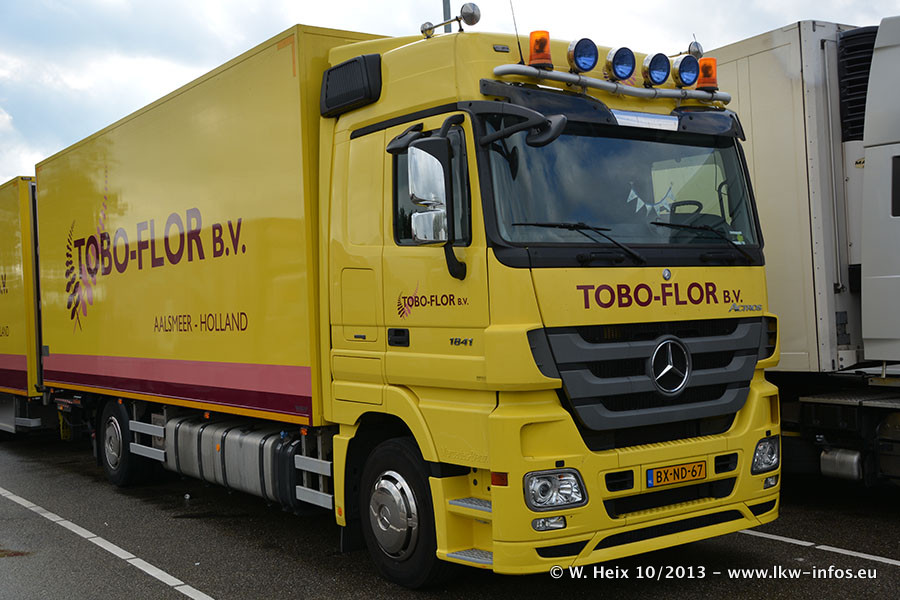 Tobo-Flor-20131006-002.jpg